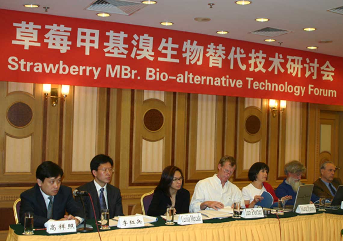 聯(lián)合國環(huán)境署、聯(lián)合國工發(fā)組織等機構出席了我公司舉行的草莓甲基溴生物替代技術(shù)研討會(huì )
